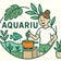 アクア