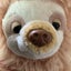 ナマケモのサムネイル