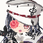 Satomi.Sのサムネイル