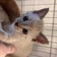 ルナのサムネイル