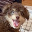 なるママのサムネイル