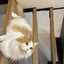 ai08020804のサムネイル