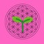 Lily 健康美へ〜Holisticな気分のサムネイル