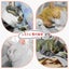 猫川しろのサムネイル