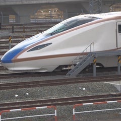 matsuri-115のプロフィール