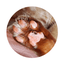猫主婦🐾うちの猫たちと幸せに過ごすのサムネイル