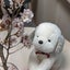 ぱぴぷーです。のサムネイル
