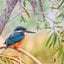 u0630-12のサムネイル