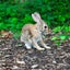 ayaのサムネイル