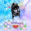 姫菜♪のサムネイル