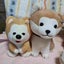 画像 草茶道がちょうどいいのユーザープロフィール画像