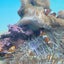 みらいのサムネイル
