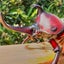 ウマチャンのサムネイル
