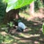 いさみのordinarydaysのサムネイル