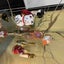 rabaco_111のサムネイル