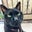 茶トラと黒　二代目猫チャム＋メイ