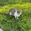 しぇのサムネイル