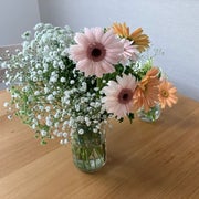 みままのおすすめのサムネイル