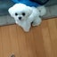 omochi20240402のサムネイル