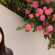 はあこのおすすめのサムネイル