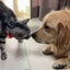 たいちょーのサムネイル