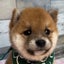 ✻suzu✻のサムネイル