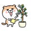 0meguruのサムネイル