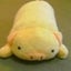 画像 もるるんのよくばりポケットのユーザープロフィール画像