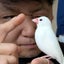 岩上智一郎（新宿トモ）のサムネイル