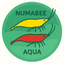 NUMABEE_AQUAのサムネイル