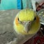 halu2940のサムネイル