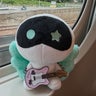 マドカのプロフィール