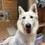 画像 巻雲日記のユーザープロフィール画像