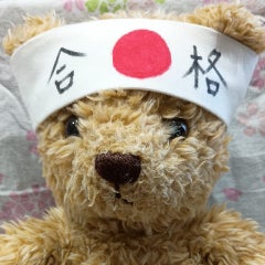 じぇにゅのプロフィール