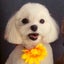 kukuママのblogのサムネイル