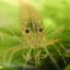 画像 asdfgnjkl98のブログのユーザープロフィール画像