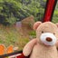 gft283のサムネイル