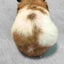 ｋｕママのサムネイル