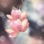 画像 agehaのブログのユーザープロフィール画像