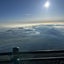 鉄之助のサムネイル