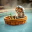 ふわにゃん日和🐾Paws & Peace🐾癒しのネコ動画チャンネルのサムネイル
