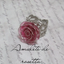 画像 Amulette de Rosetta    ｱﾐｭﾚｯﾄ  ﾄﾞｩ  ﾛｾﾞｯﾀのユーザープロフィール画像