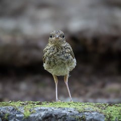 毎日疲れたのプロフィール