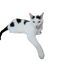 じんねこのサムネイル