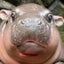 おげんさんママのサムネイル