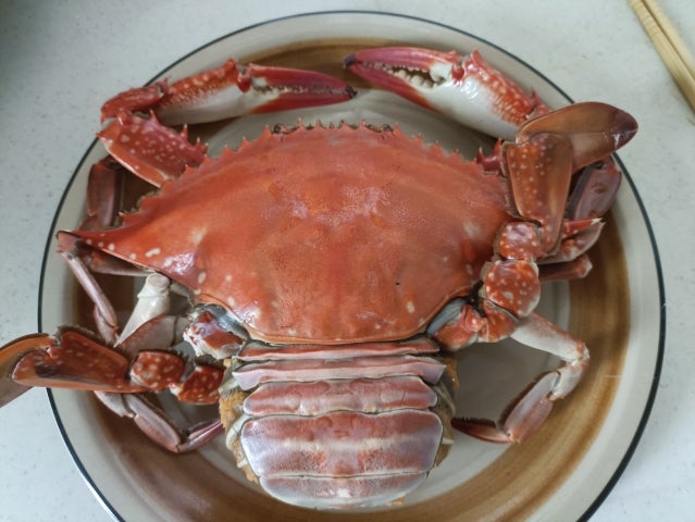 モンテクリスト