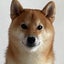 佳生(かい)のサムネイル