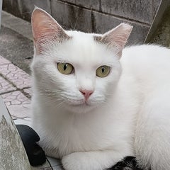 highlandrail/次郎右衛門のプロフィール