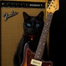 fuzzのプロフィール