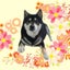 姫菜♪のサムネイル